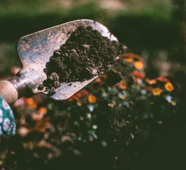 Soil on a shovel